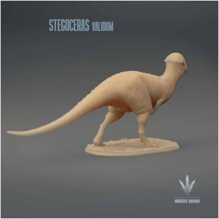 Stegoceras validum : The Horn Roof - UNPAINTED 3D Figurine - Miniature Museum