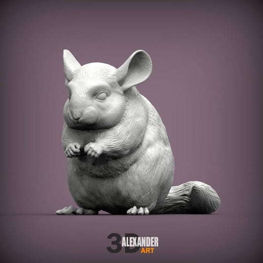 Chinchilla - UNPAINTED 3D figure - Alexander3dart