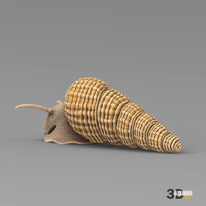 Tylomelania - UNPAINTED - Alexander3dart