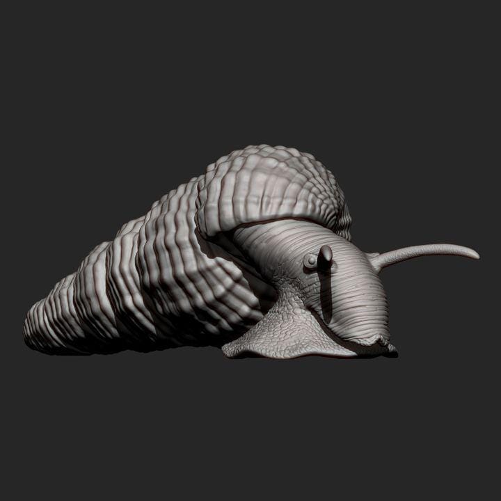 Tylomelania - UNPAINTED - Alexander3dart
