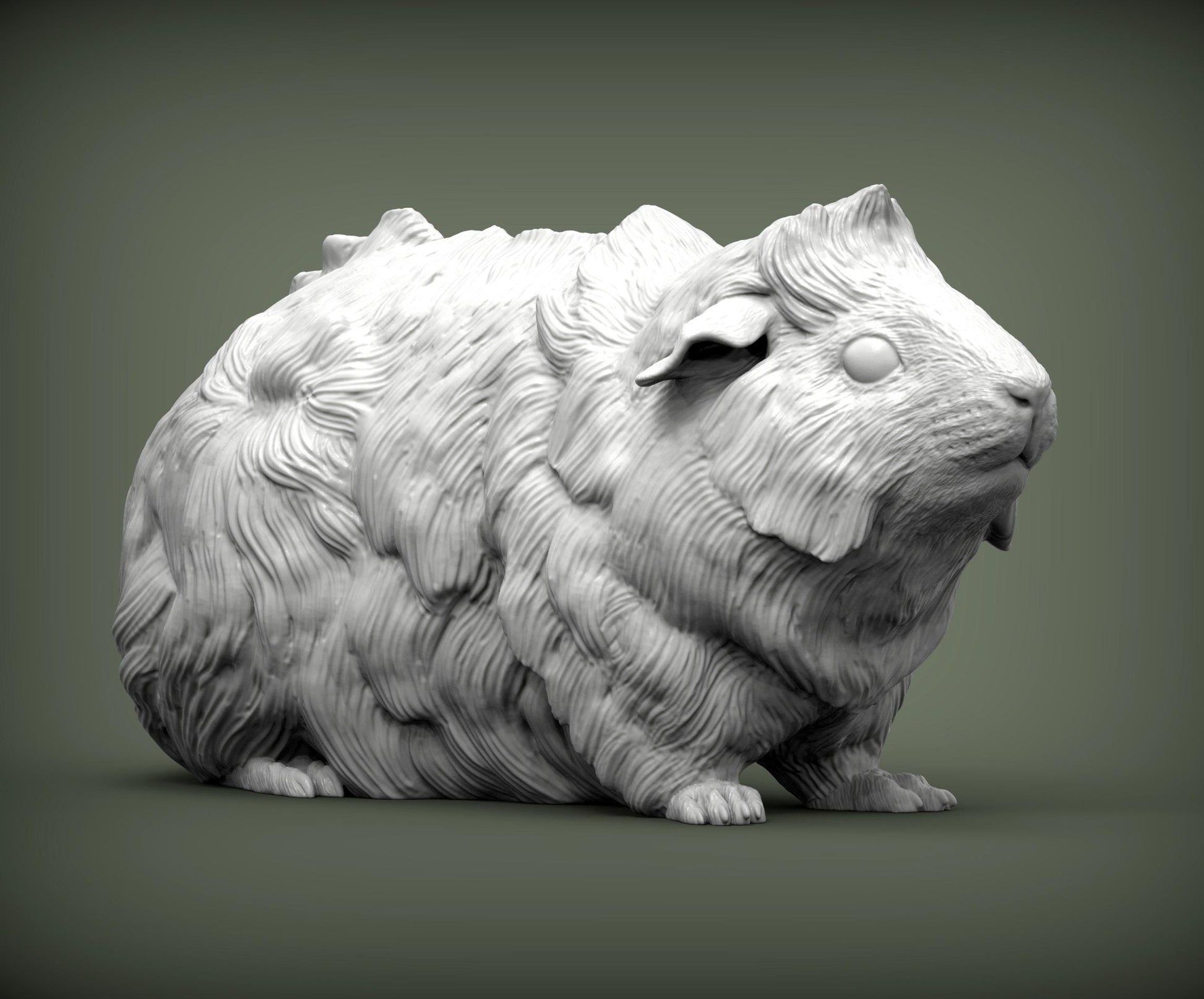 Abyssinian guinea pig - UNPAINTED 3D resin figure - Alexander3dart