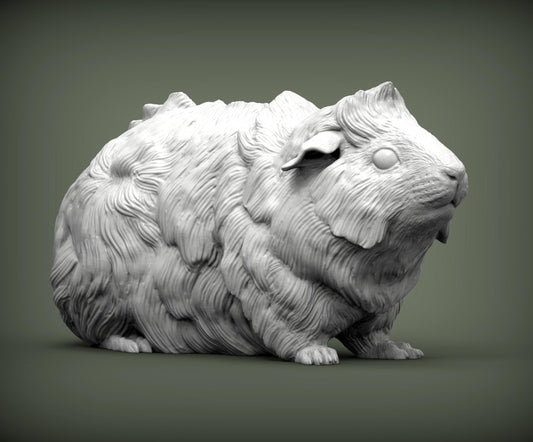 Abyssinian guinea pig - UNPAINTED 3D resin figure - Alexander3dart