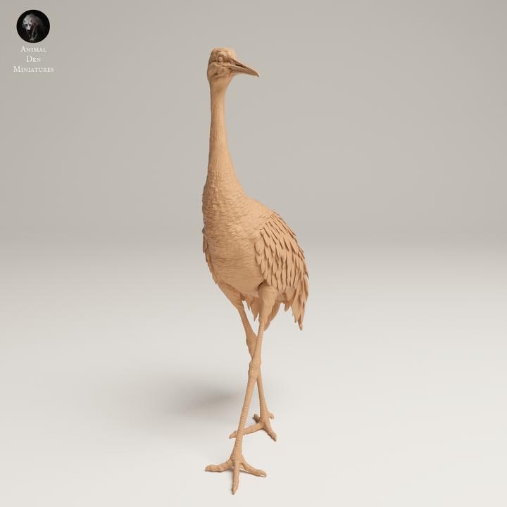 Greater Sandhill Crane - UNPAINTED 3D resin print/figure - Animal Den Miniatures