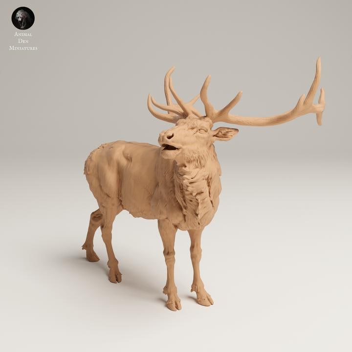 Rocky Mountain Elk Bugle - UNPAINTED 3D resin print/figure - Animal Den Miniatures