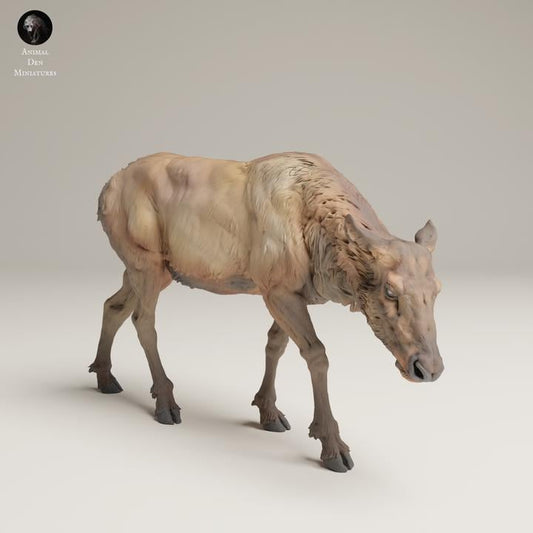 Rocky Mountain Elk Cow Feed - UNPAINTED 3D resin print/figure - Animal Den Miniatures