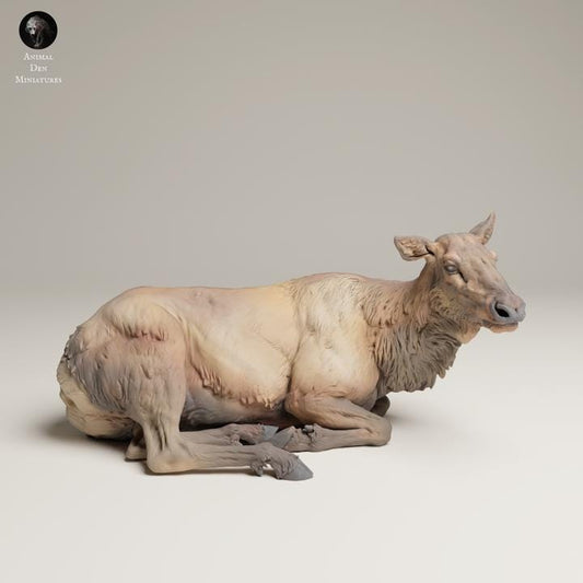 Rocky Mountain Elk Cow Lying - UNPAINTED 3D resin print/figure - Animal Den Miniatures