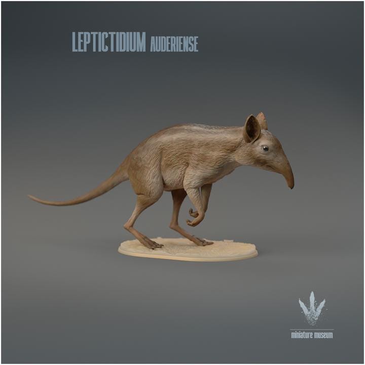 Leptictidium auderiense : The Prehistoric Shrew-like Mammal - UNPAINTED 3D Figurine - Miniature Museum