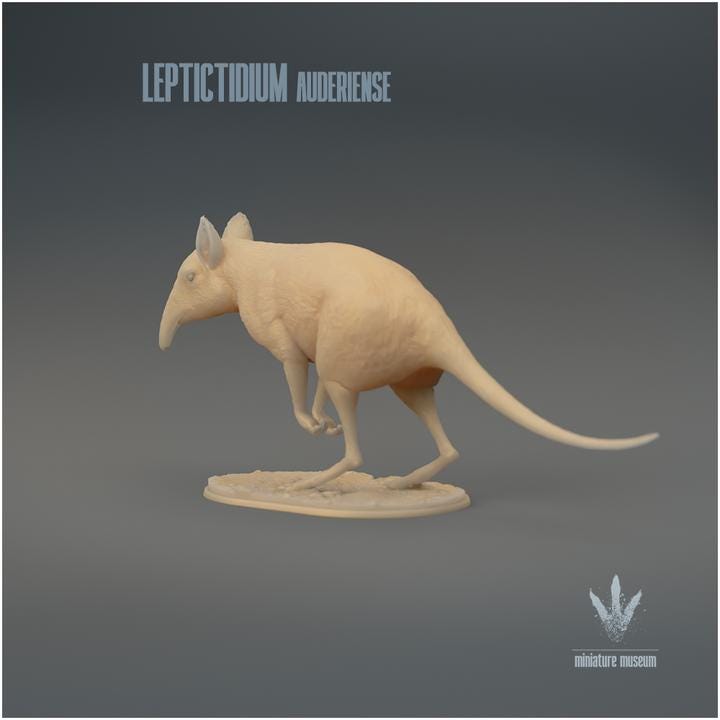 Leptictidium auderiense : The Prehistoric Shrew-like Mammal - UNPAINTED 3D Figurine - Miniature Museum