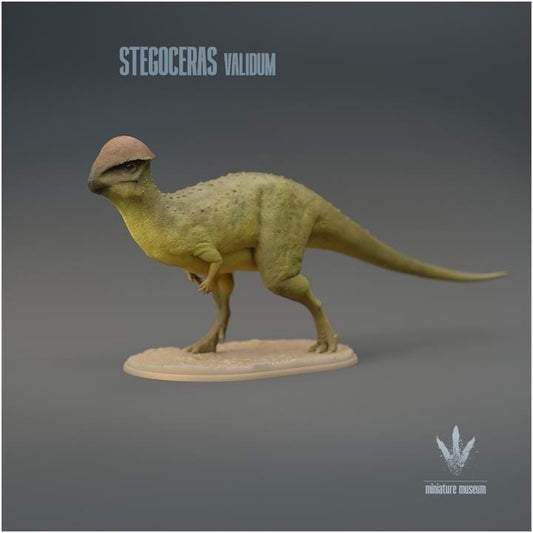 Stegoceras validum : The Horn Roof - UNPAINTED 3D Figurine - Miniature Museum