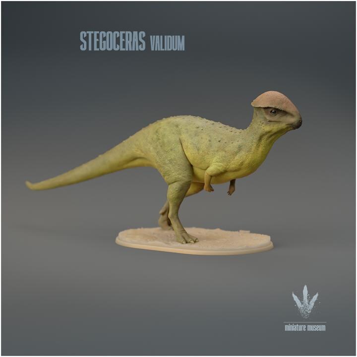 Stegoceras validum : The Horn Roof - UNPAINTED 3D Figurine - Miniature Museum