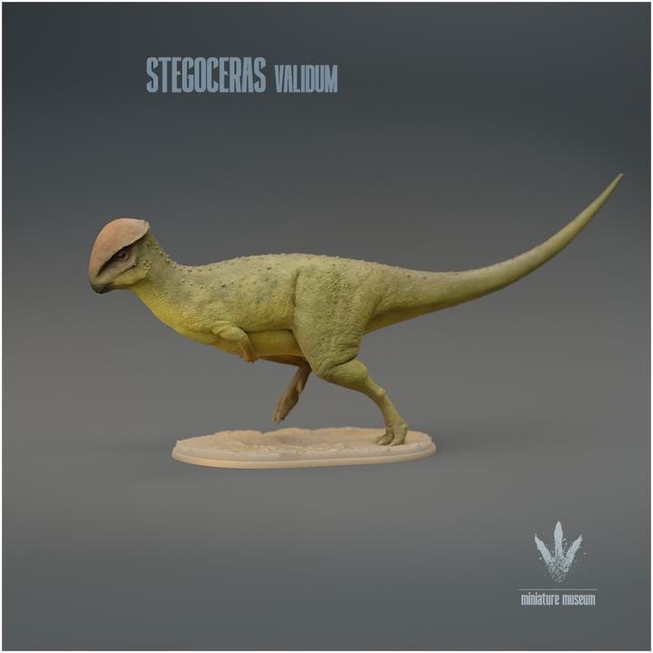 Stegoceras validum : Run - UNPAINTED 3D Figurine - Miniature Museum
