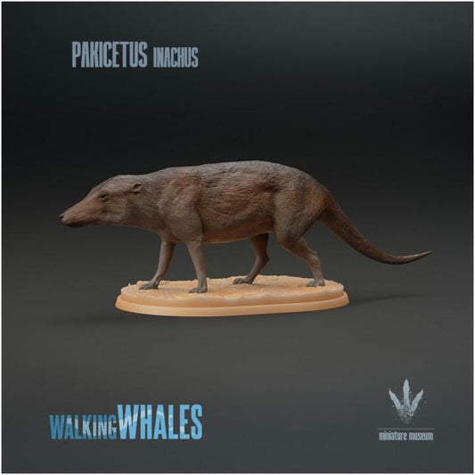 Pakicetus inachus : Dog-like Whale - UNPAINTED 3D figure - Miniature Museum