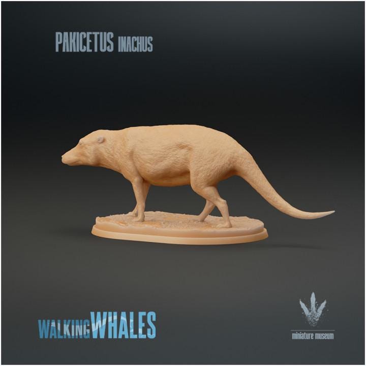 Pakicetus inachus : Dog-like Whale - UNPAINTED 3D figure - Miniature Museum