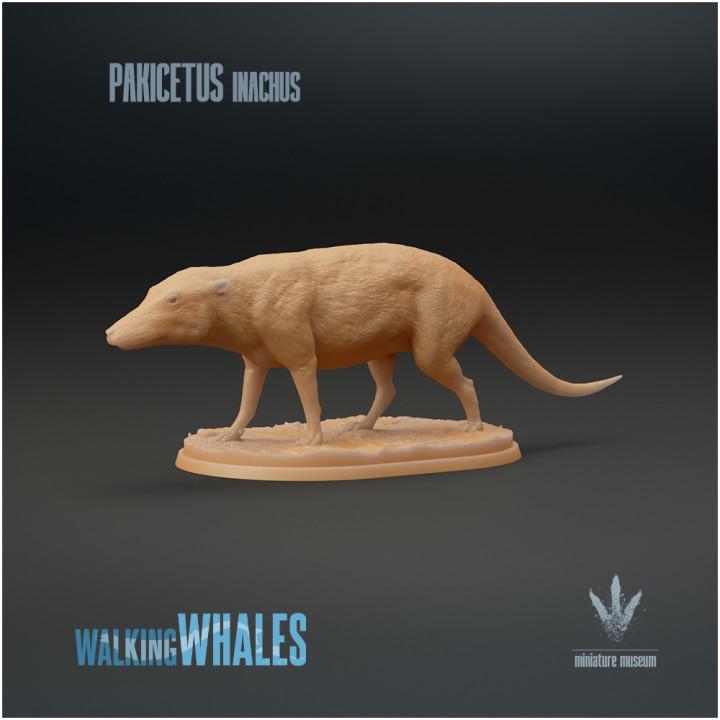 Pakicetus inachus : Dog-like Whale - UNPAINTED 3D figure - Miniature Museum