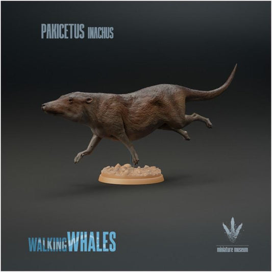 Pakicetus inachus : Swimming - UNPAINTED 3D figure - Miniature Museum