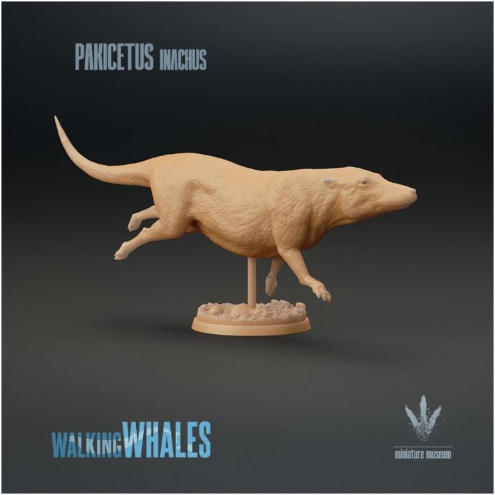 Pakicetus inachus : Swimming - UNPAINTED 3D figure - Miniature Museum