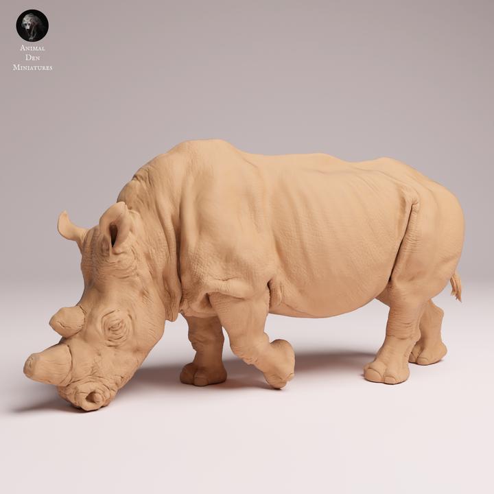 Northern White Rhino feeding - UNPAINTED 3D Figure - Animal Den Miniatures