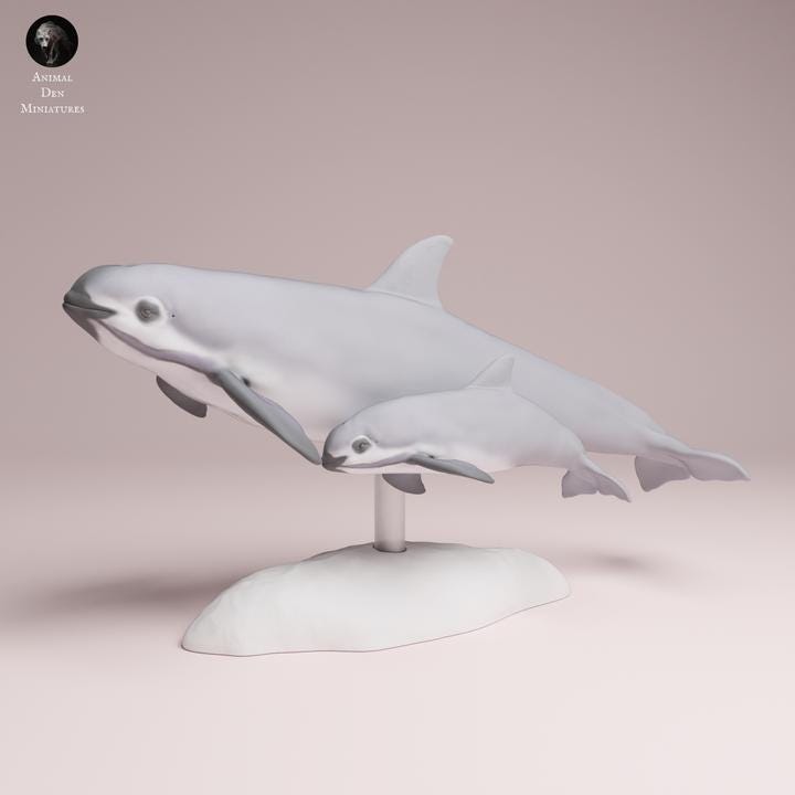 Vaquita Dolphin and calf - UNPAINTED 3D Resin Figure - Animal Den Miniatures
