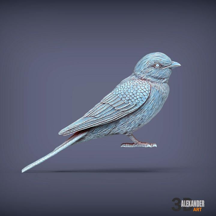 Swallow Bird - UNPAINTED 3D Figure - Alexander3dart