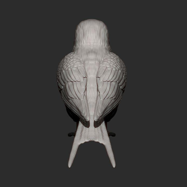 Swallow Bird - UNPAINTED 3D Figure - Alexander3dart