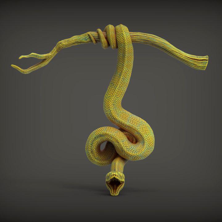 Green Tree Python- UNPAINTED 3D Resin Figure - Alexander3dart