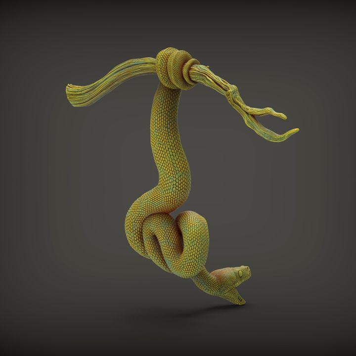 Green Tree Python- UNPAINTED 3D Resin Figure - Alexander3dart