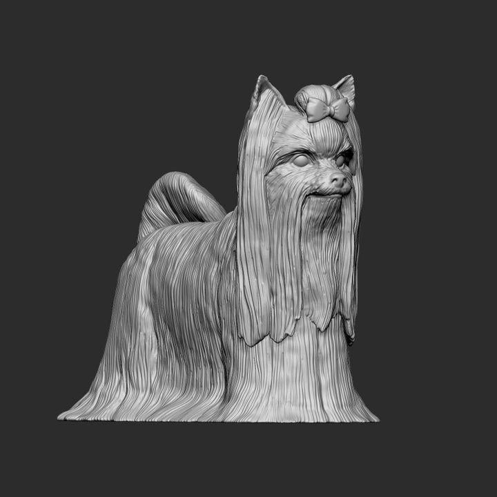 Long-haired Yorkshire Terrier - UNPAINTED 3D Figure - Alexander3dart