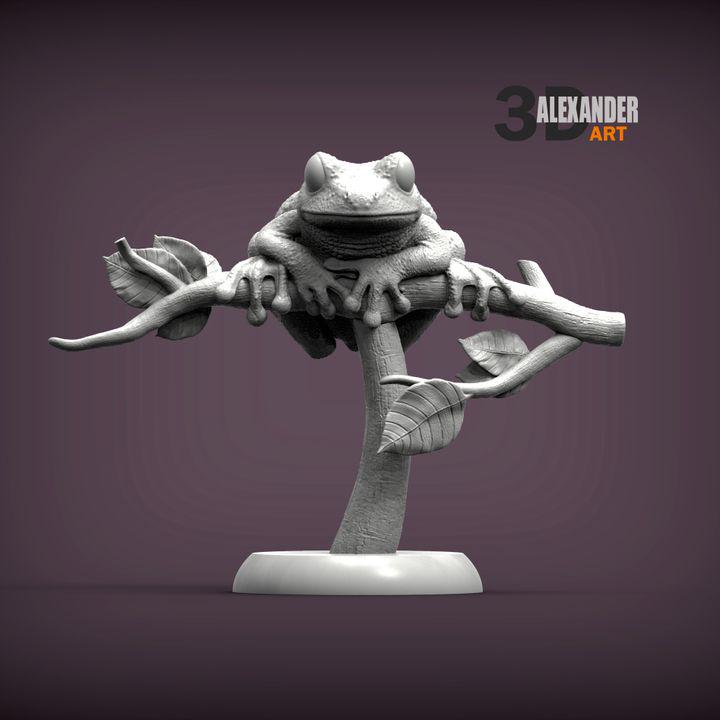 Maroon Eyed Frog - UNPAINTED 3D Resin Figure - Alexander3dart