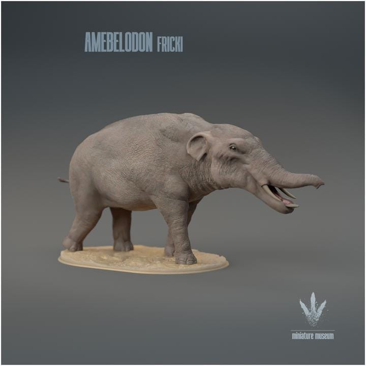 Amebelodon fricki : The Shovel-Tusk - UNPAINTED 3D Resin Figure - Miniature Museum