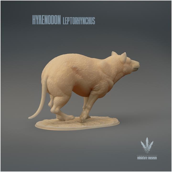 Hyaenodon leptorhynchus : Run - UNPAINTED 3D Resin Figure - Miniature Museum