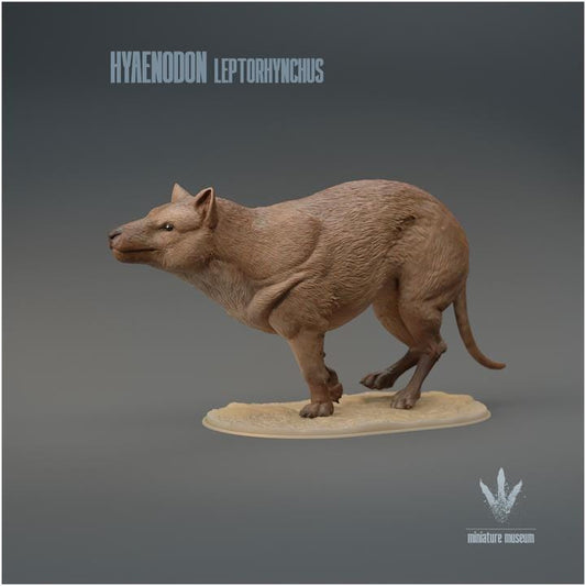 Hyaenodon leptorhynchus : Run - UNPAINTED 3D Resin Figure - Miniature Museum
