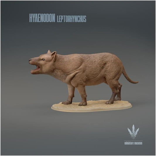Hyaenodon leptorhynchus : Roar - UNPAINTED 3D Resin Figure - Miniature Museum