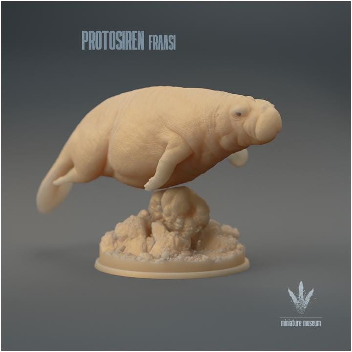 Protosiren fraasi : The Prehistoric Manatee Family - UNPAINTED 3D Resin Figure - Miniature Museum