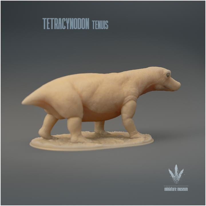 Tetracynodon tenuis : The Miniature Synapsid - UNPAINTED 3D Resin Figure - Miniature Museum