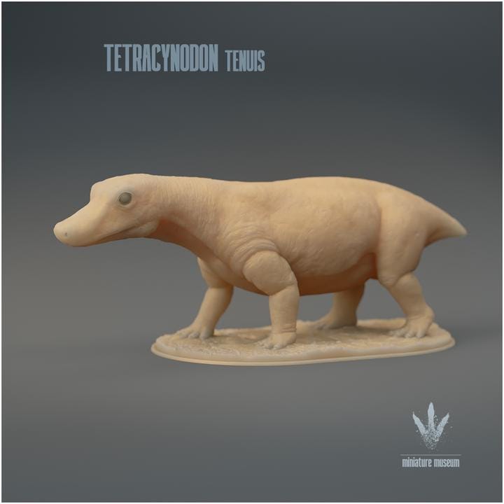 Tetracynodon tenuis : The Miniature Synapsid - UNPAINTED 3D Resin Figure - Miniature Museum
