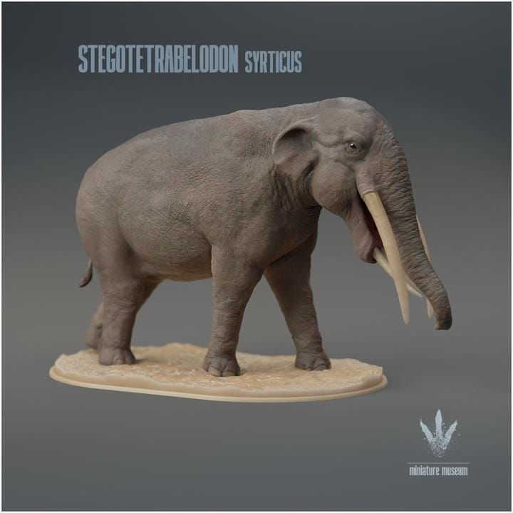 Stegotetrabelodon syrticus : The Four Roofed Tusked-Tooth - UNPAINTED 3D Resin Figure - Miniature Museum