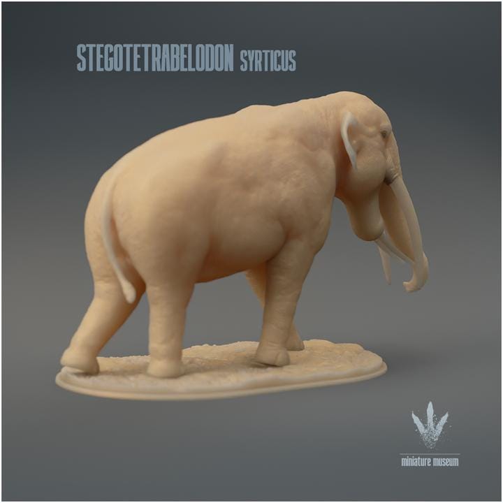 Stegotetrabelodon syrticus : The Four Roofed Tusked-Tooth - UNPAINTED 3D Resin Figure - Miniature Museum