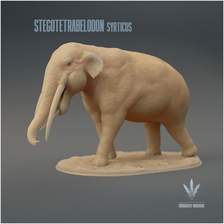 Stegotetrabelodon syrticus : The Four Roofed Tusked-Tooth - UNPAINTED 3D Resin Figure - Miniature Museum