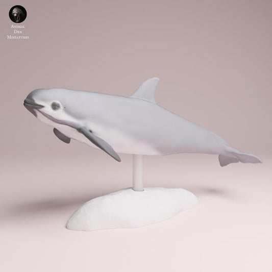 Vaquita - Dolphin - UNPAINTED 3D Resin Figure - Animal Den Miniatures