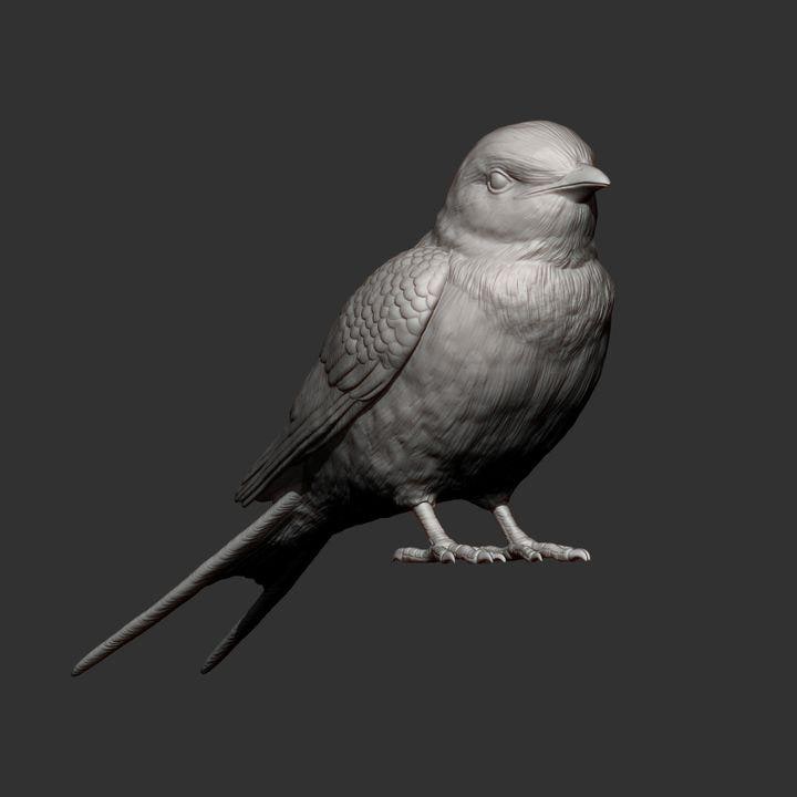 Swallow Bird - UNPAINTED 3D Figure - Alexander3dart