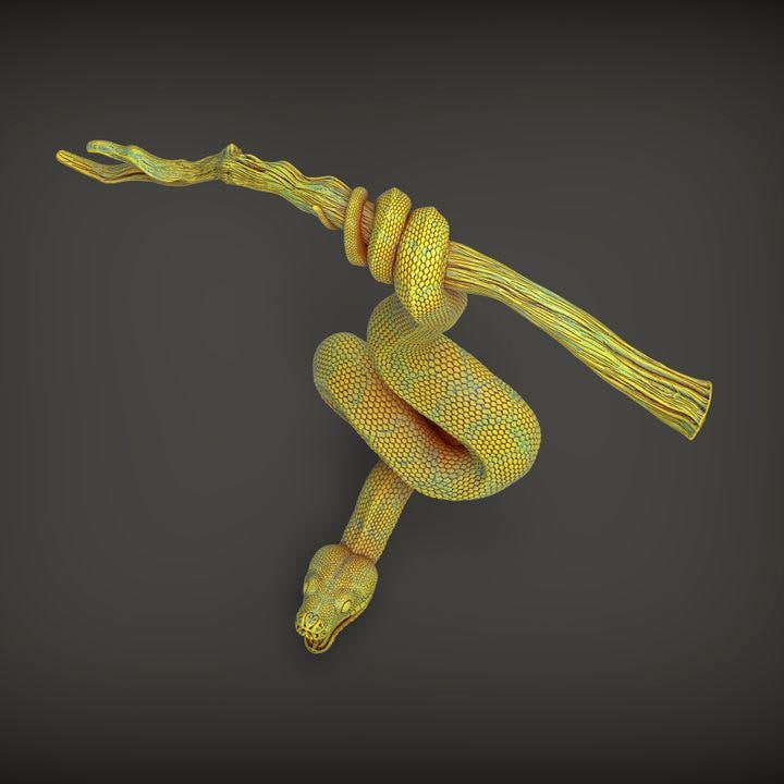 Green Tree Python- UNPAINTED 3D Resin Figure - Alexander3dart