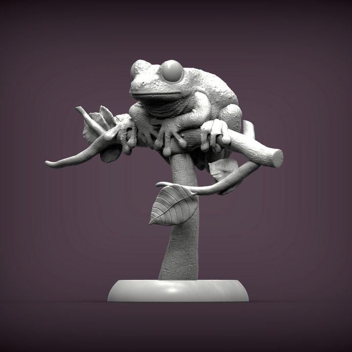 Maroon Eyed Frog - UNPAINTED 3D Resin Figure - Alexander3dart