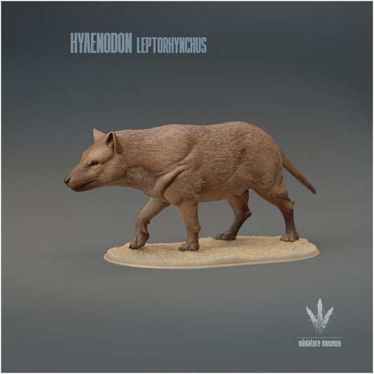 Hyaenodon leptorhynchus : The Hyaena Tooth - UNPAINTED 3D Resin Figure - Miniature Museum