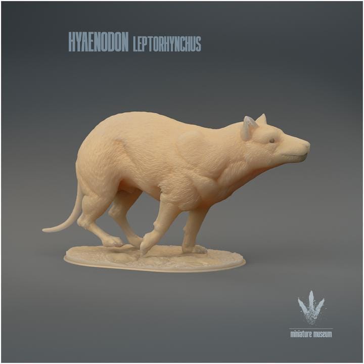 Hyaenodon leptorhynchus : Run - UNPAINTED 3D Resin Figure - Miniature Museum