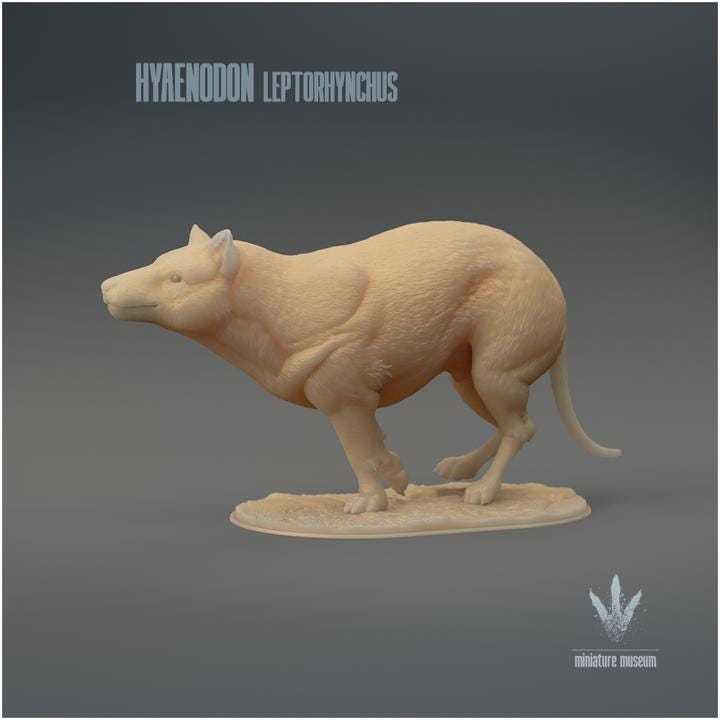 Hyaenodon leptorhynchus : Run - UNPAINTED 3D Resin Figure - Miniature Museum