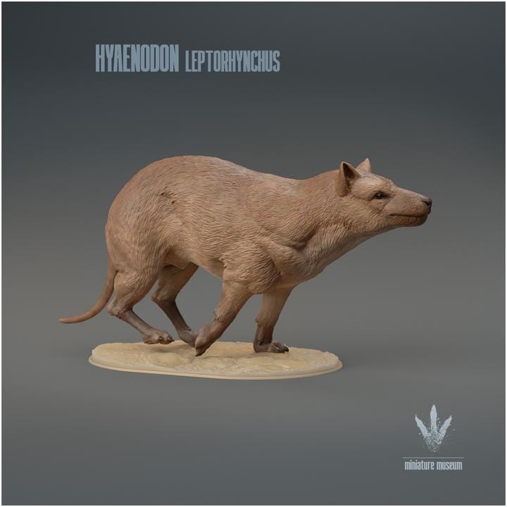 Hyaenodon leptorhynchus : Run - UNPAINTED 3D Resin Figure - Miniature Museum
