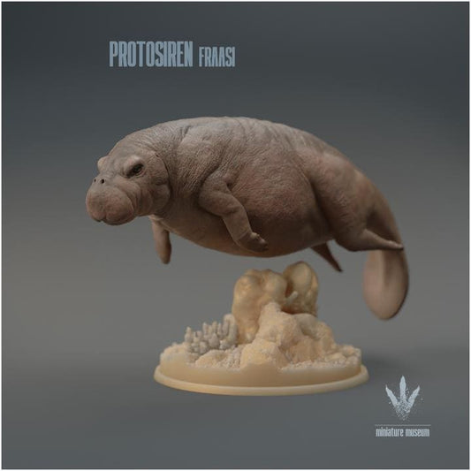 Protosiren fraasi : The Prehistoric Manatee - UNPAINTED 3D Resin Figure - Miniature Museum