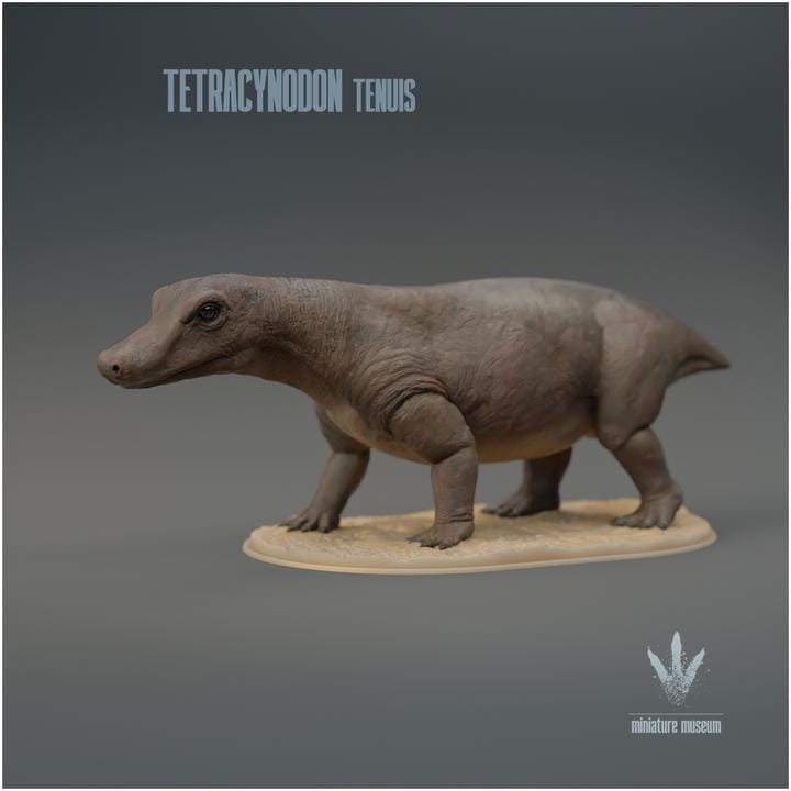 Tetracynodon tenuis : The Miniature Synapsid - UNPAINTED 3D Resin Figure - Miniature Museum