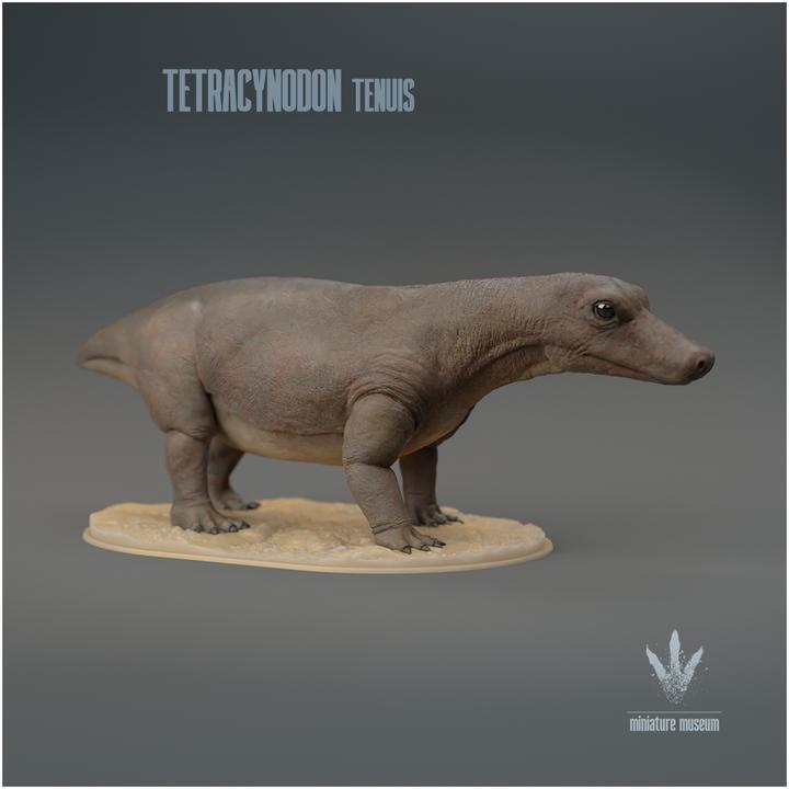 Tetracynodon tenuis : The Miniature Synapsid - UNPAINTED 3D Resin Figure - Miniature Museum