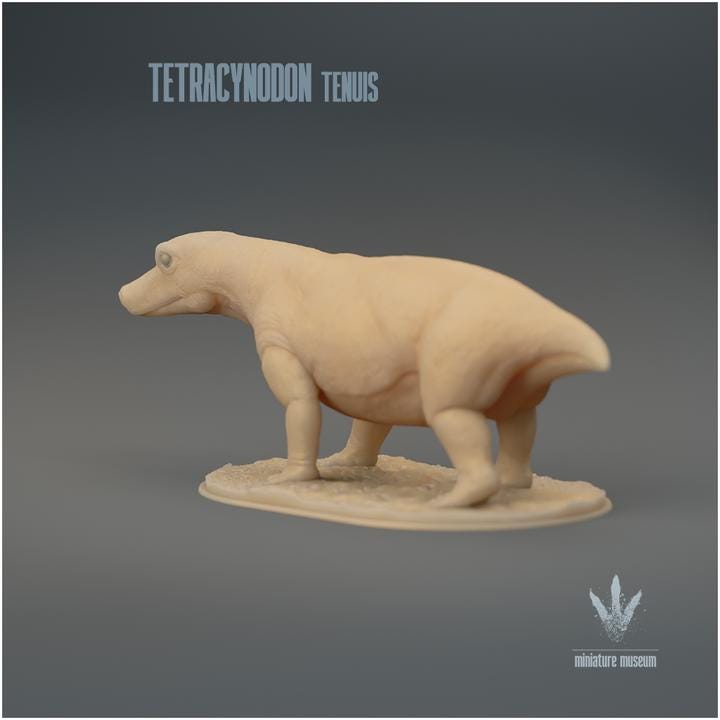 Tetracynodon tenuis : The Miniature Synapsid - UNPAINTED 3D Resin Figure - Miniature Museum